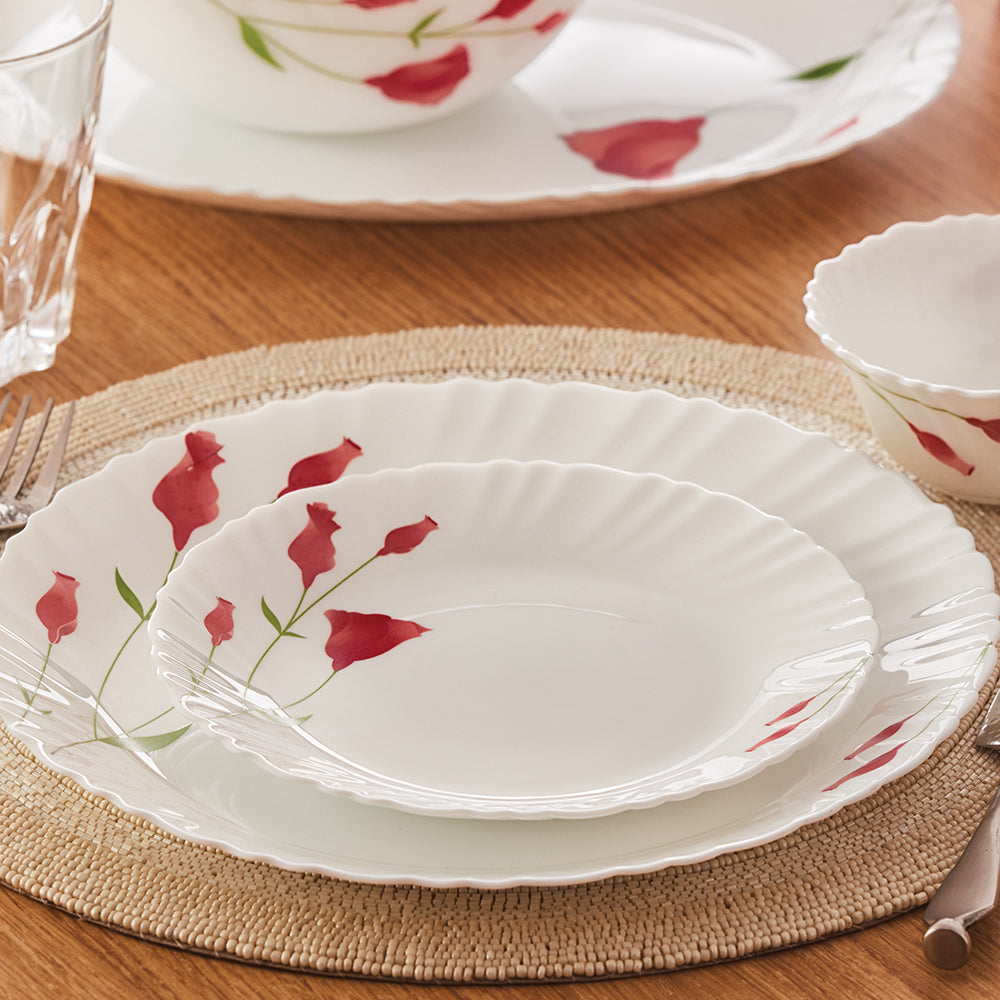 My Borosil Dinner Sets 36 pc Set: Serves 8 Diana Dinner Set